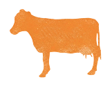 Vaca naranja